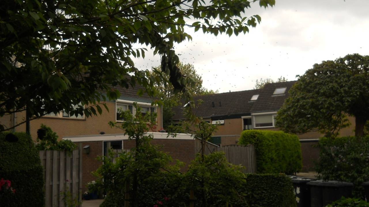 Ga naar slide 5