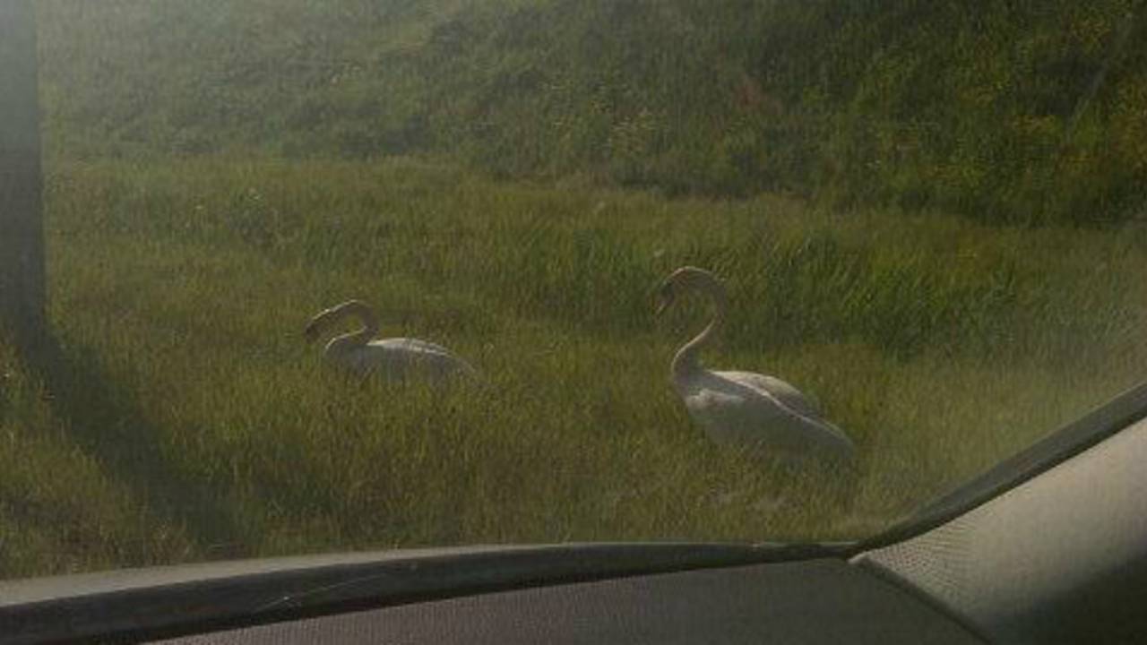 Foto: Twitter/Danielle Michiels