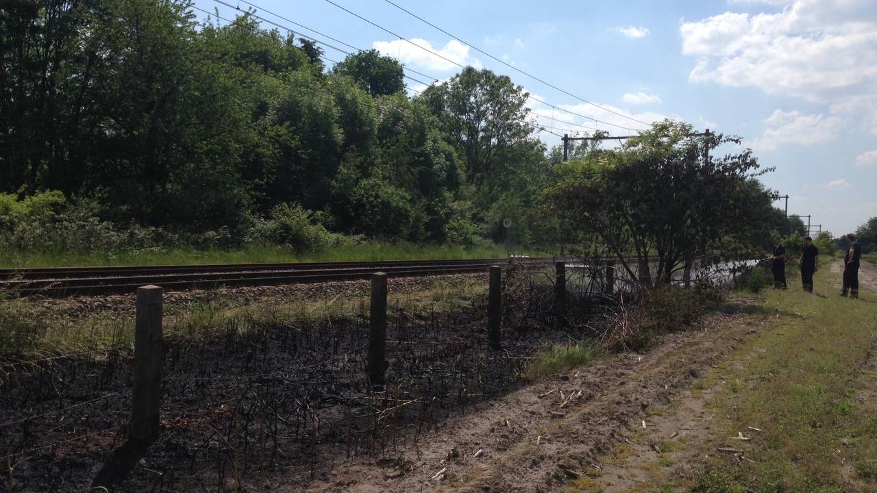 Foto: Bart Meesters (Meesters Multi Media)