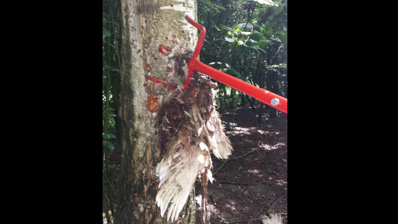 Foto: Dierenpolitie/Twitter