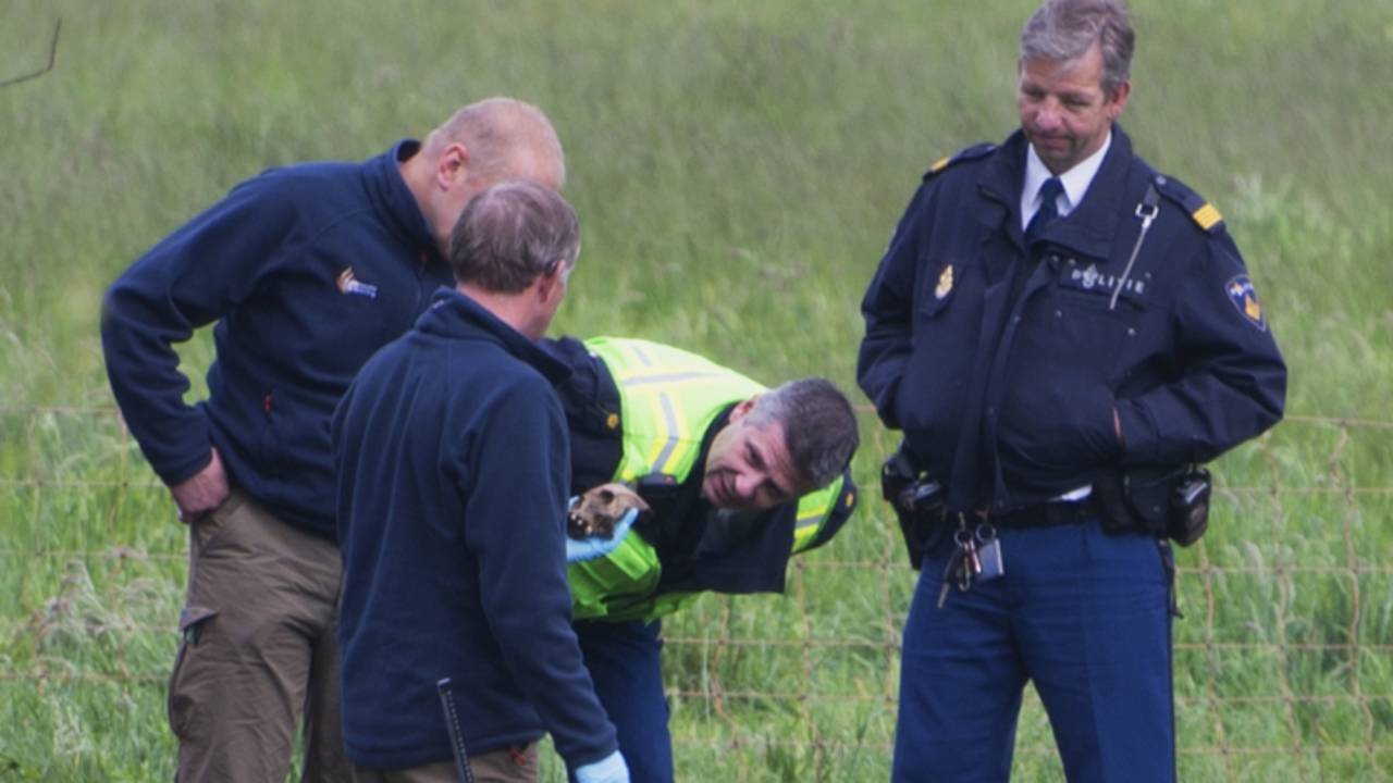 Schedel gevonden (foto: Sem van Rijssel / SQ Vision)