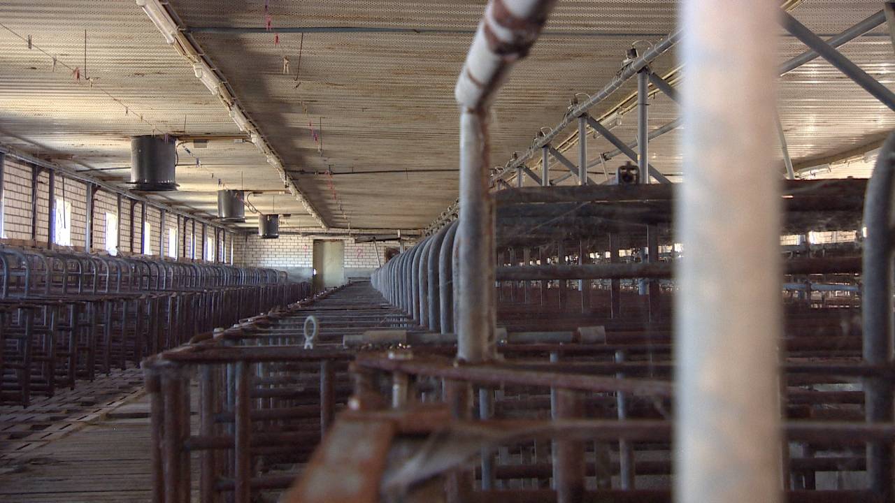 Lege stallen in Brabant