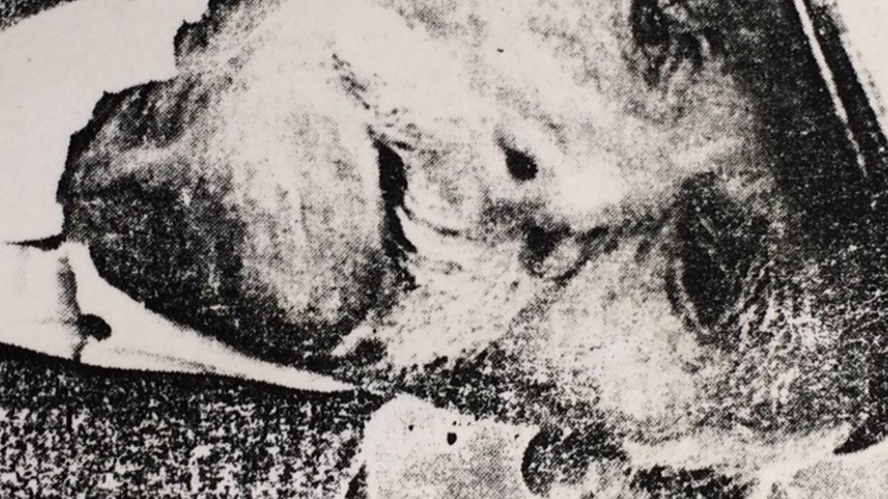 Ga naar slide 3