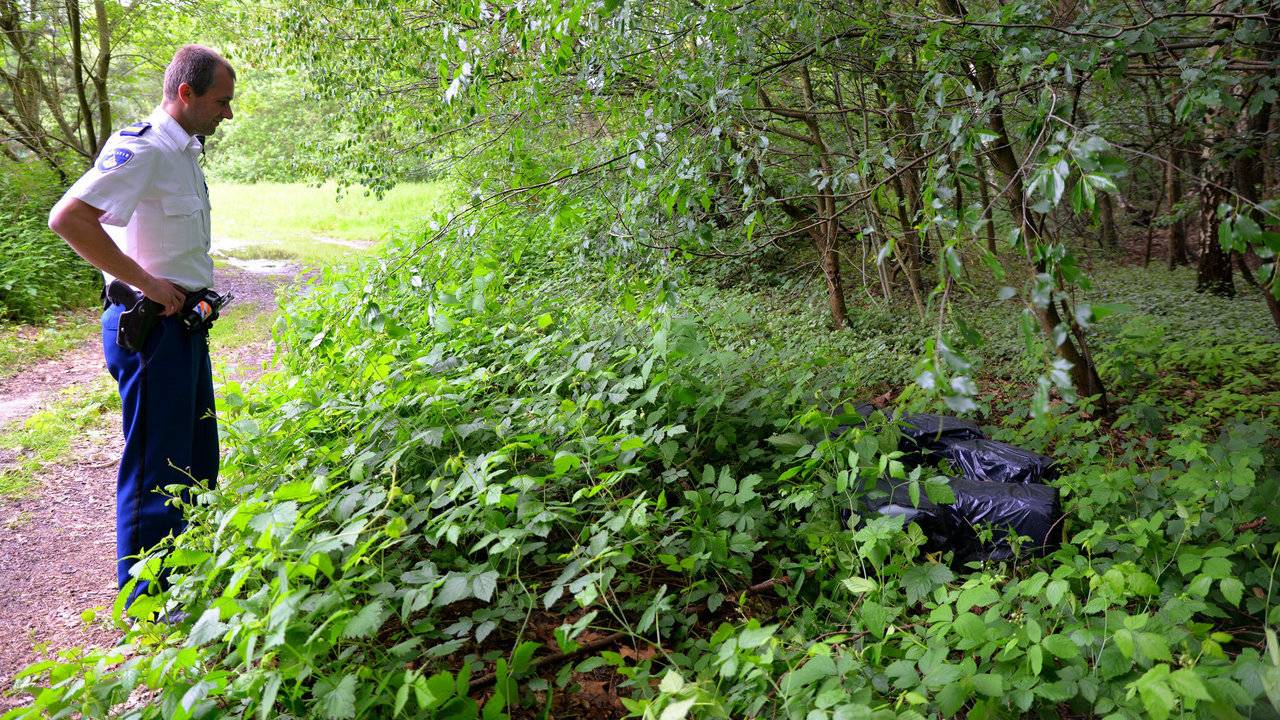 Foto: Toby de Kort / Meesters Multi Media