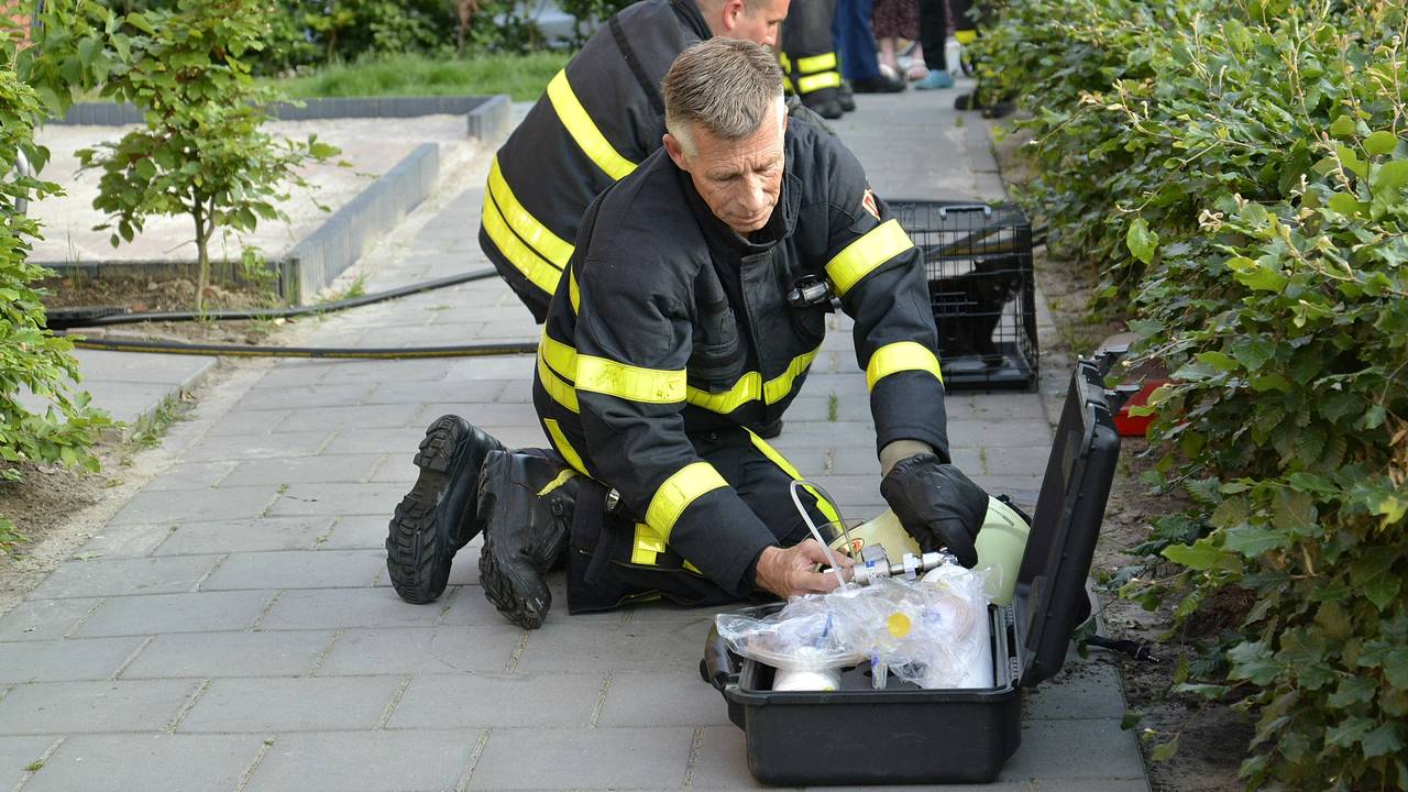 Kat aan beademing na woningbrand (foto: Stijn Maas/Maas Fotografie)