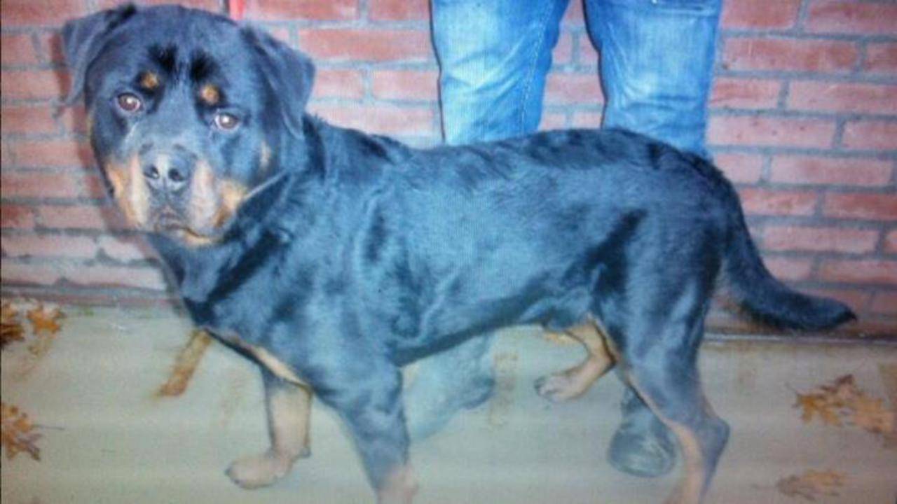 Diesel (archiefbeeld)