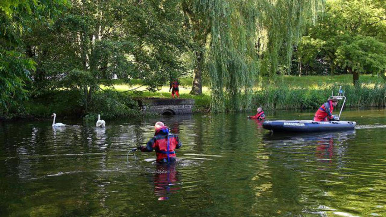 Brandweer redt vijf van de zes zwanen (Foto: Charles Mallo)