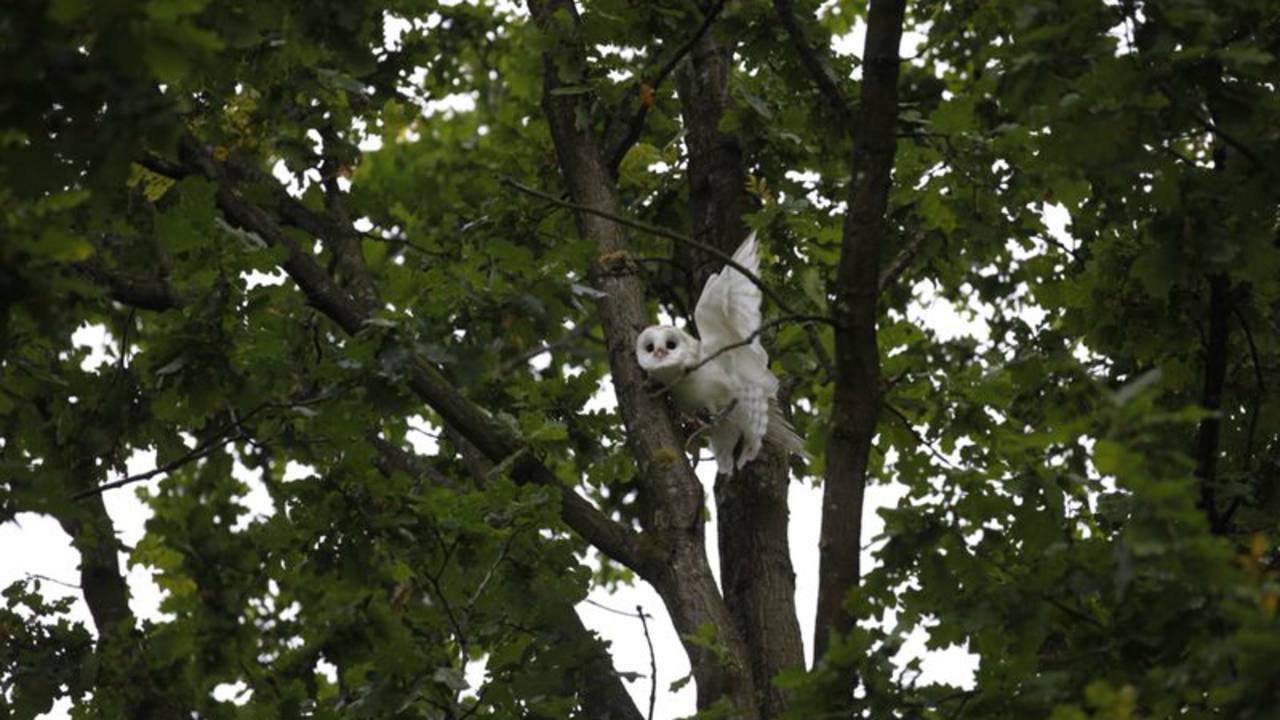 Foto: Christian Traets/SQ Vision