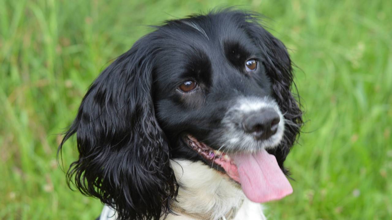 Femke heeft operatie nodig