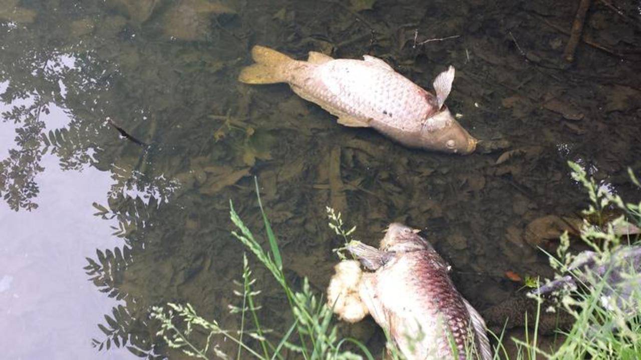 Foto: Marrie Meeuwsen