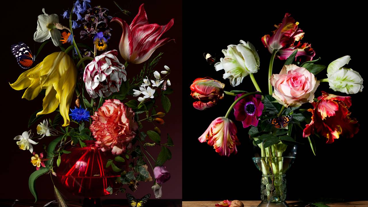 Bloemstillevens van Bas Meeuws uit Eindhoven