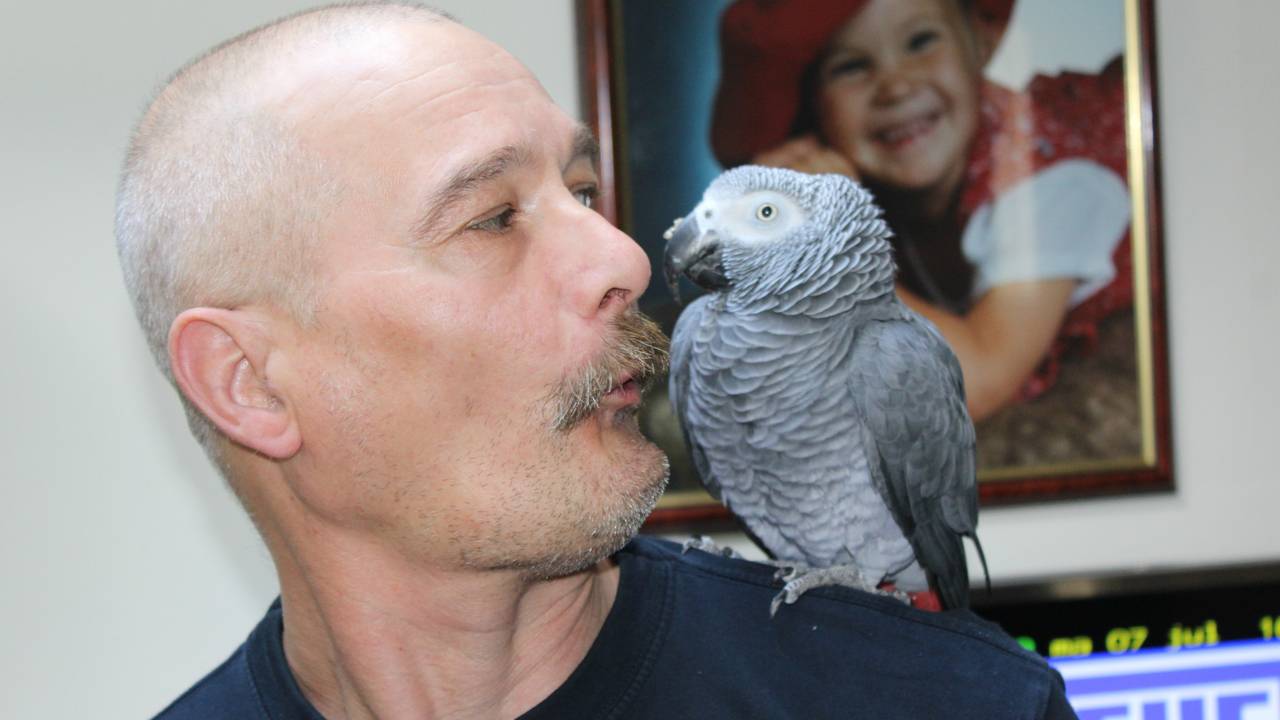 Eigenwijze Johnny is weer terug (foto: Louis van Bavel)