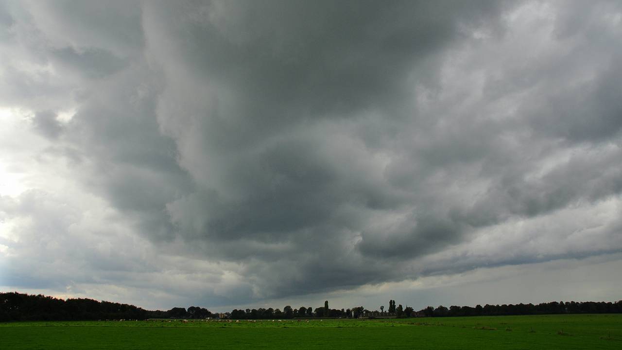 Foto: Ben Saanen