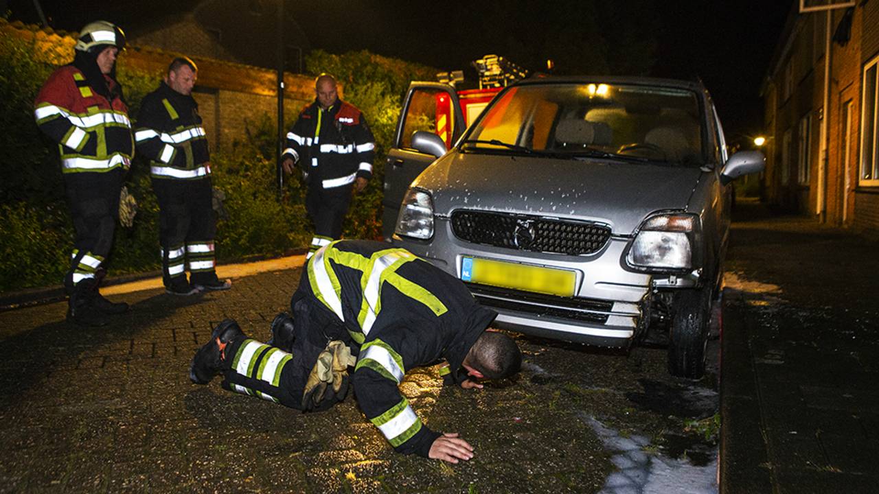 Foto: Sander van Gils (SQ Vision)