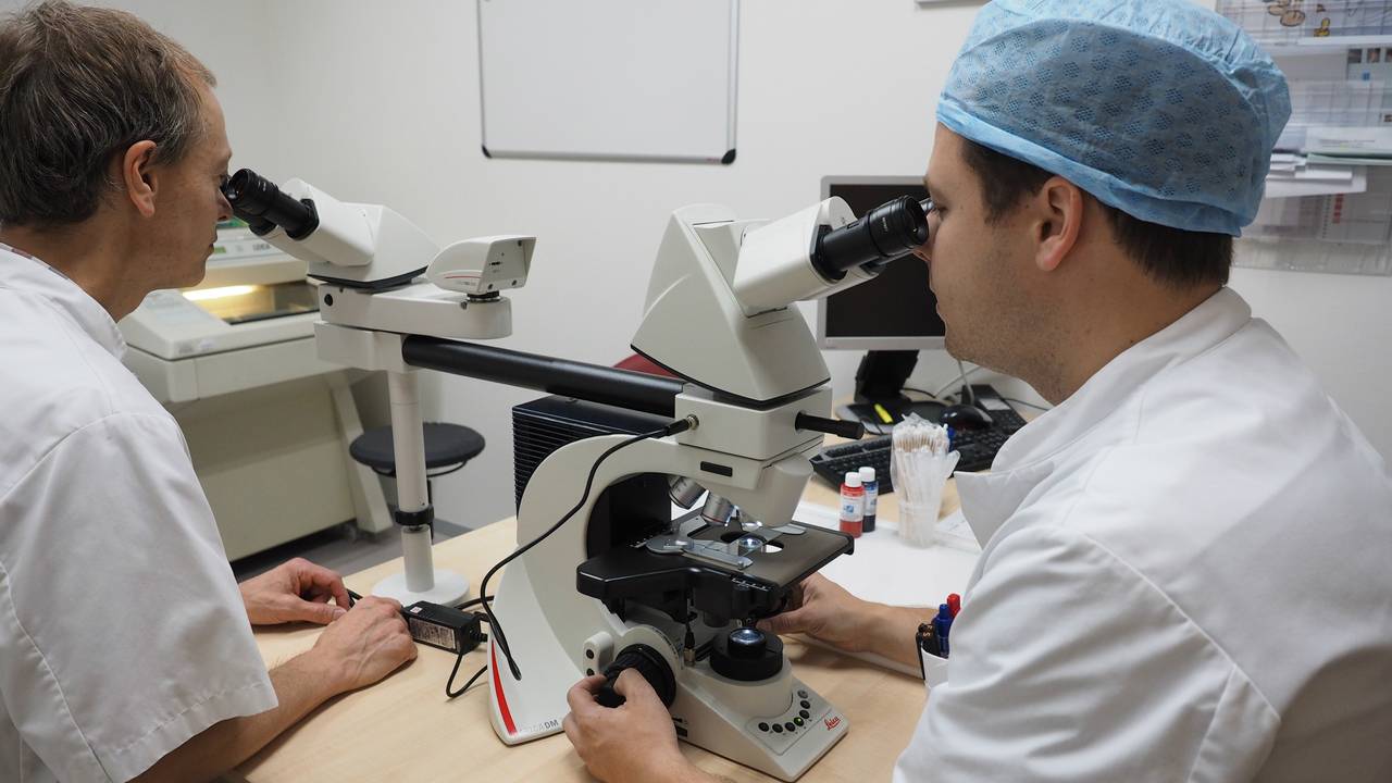 Dermatologen bekijken een stuk weefsel onder de microscoop. (foto: Elisabeth-TweeSteden Ziekenhuis)