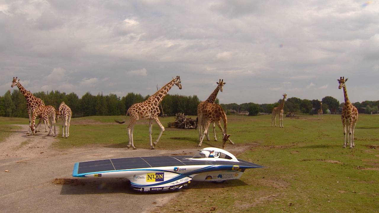 Zonnewagen Nuna tussen de giraffes