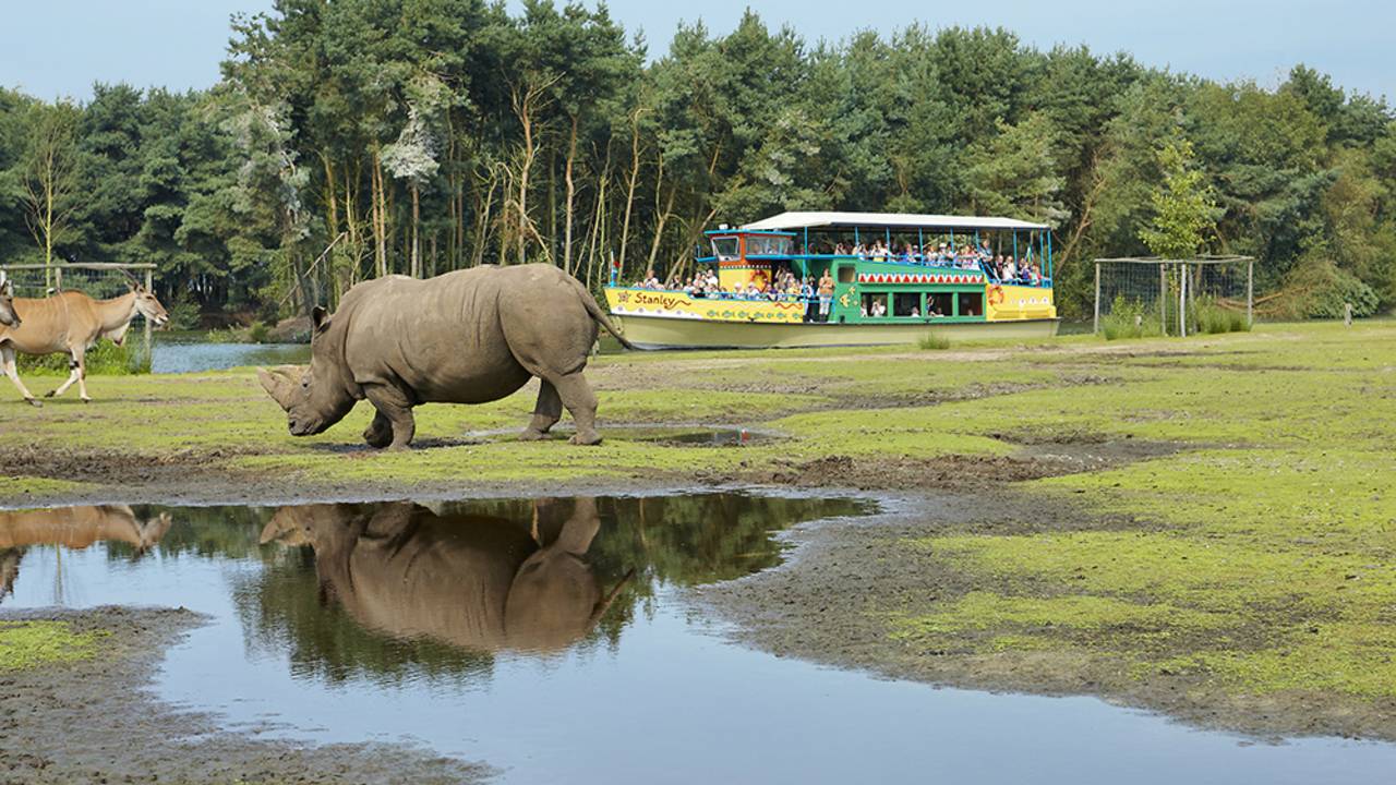 Bezoekersrecord Beekse Bergen. (foto: Beekse Bergen)