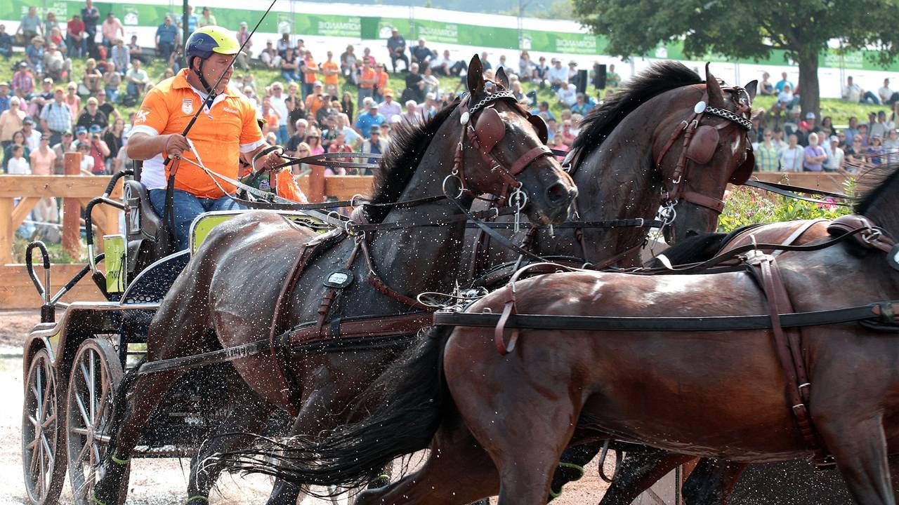 Theo Timmerman uit Best wint zilver (foto: VI Images/archief)