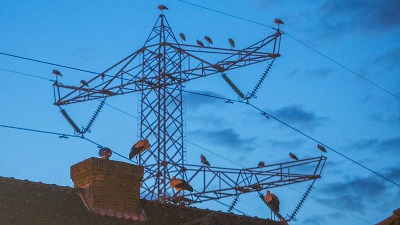 Foto: Sem van Rijssel / SQ Vision