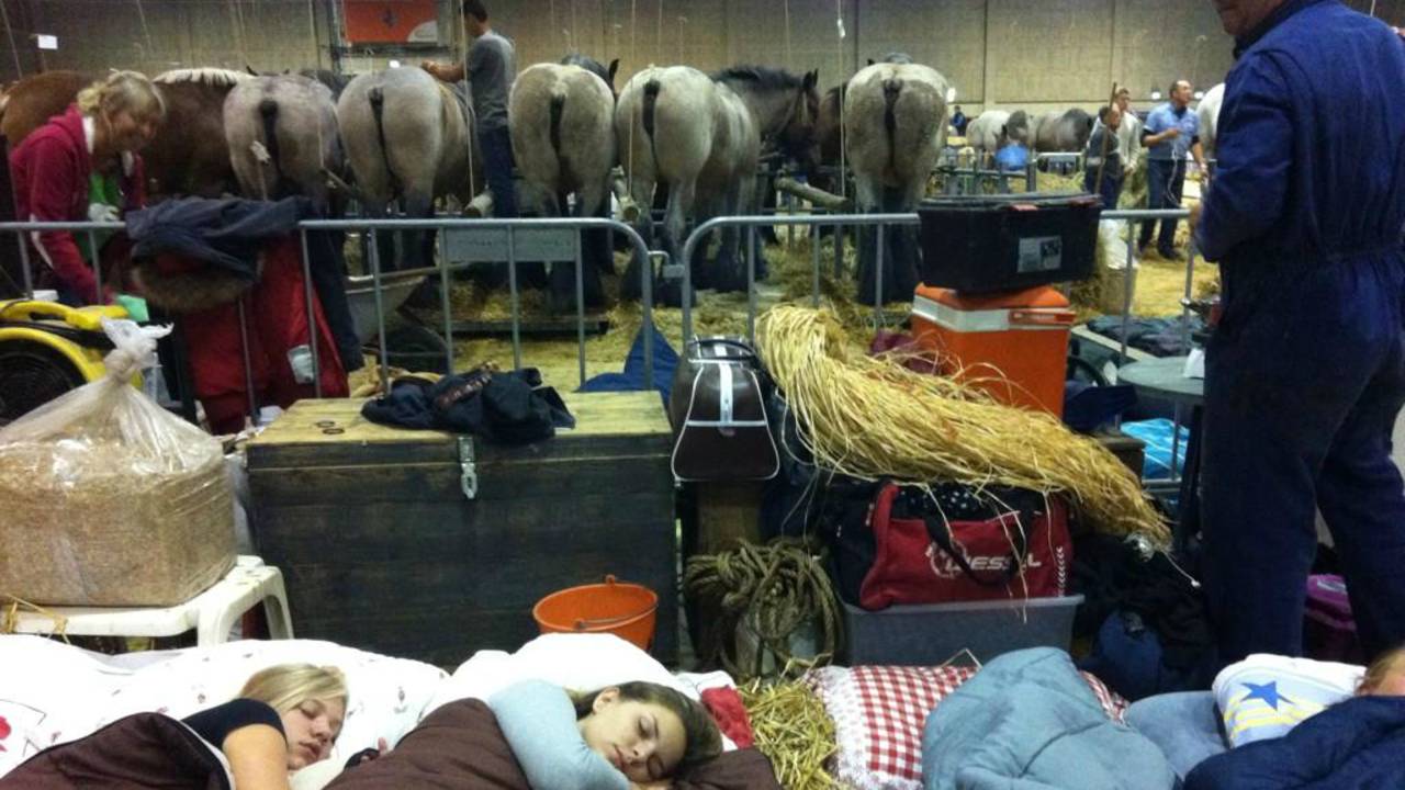 Eigenaren van paarden slapen bij hun dieren in de Brabanthallen
