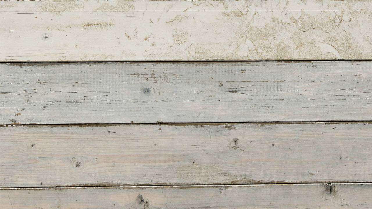 Een schutting (foto: ANP)