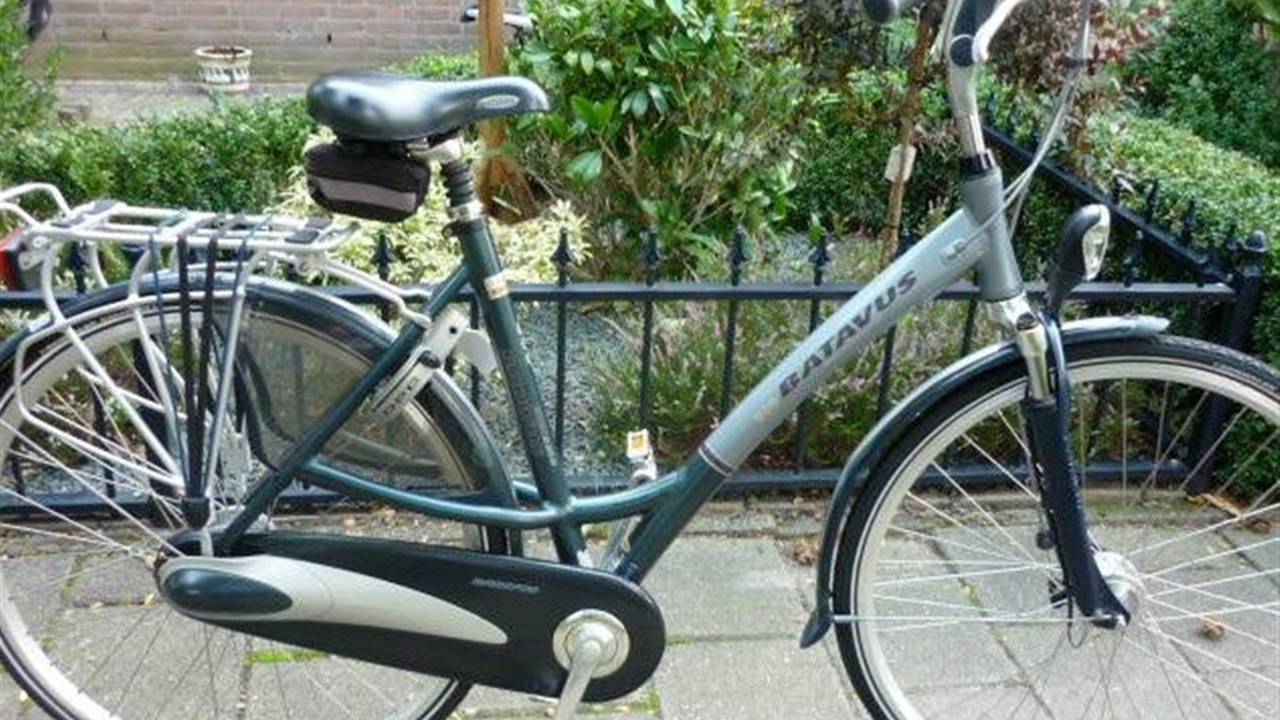 De gestolen Batavus-fiets (Annemieke Vermeer)