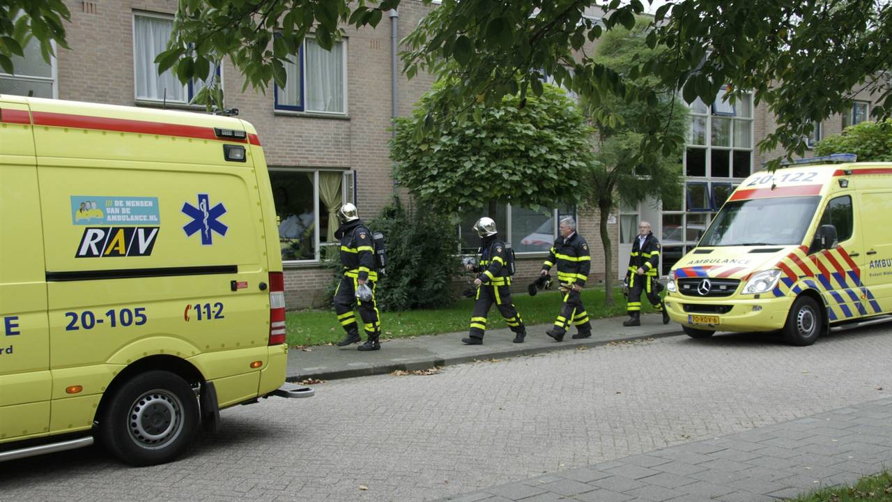 Foto: Alexander Vingerhoeds / Obscura Foto