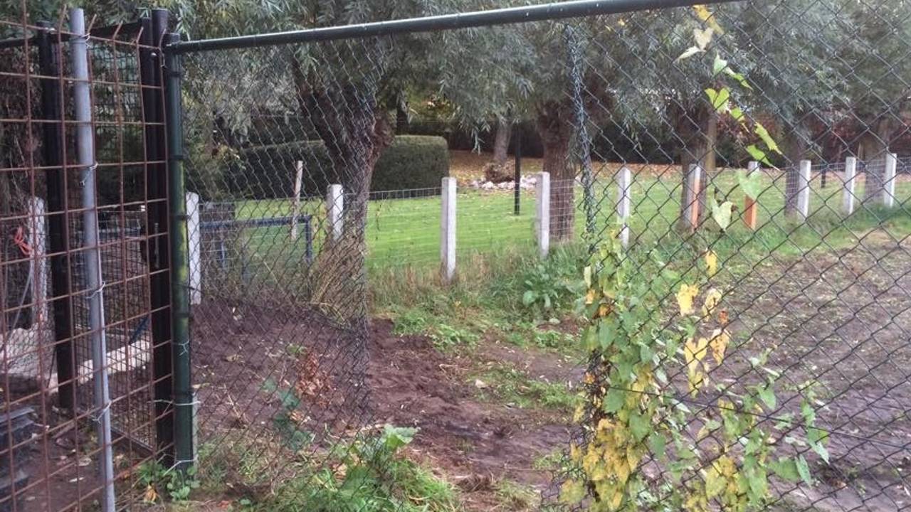 Hek opengeknipt (Foto: Facebook Krekwakwo)