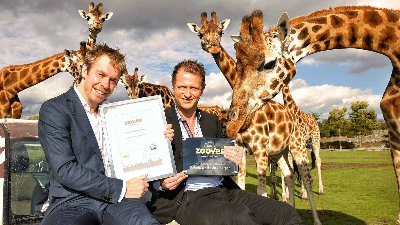Hier die award!, lijkt de giraf te denken.
