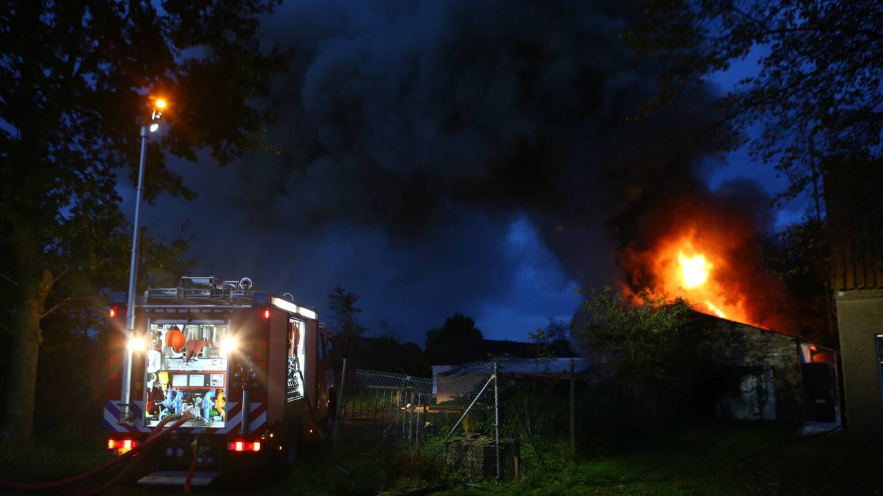 Foto: Sander van Gils/SQ Vision