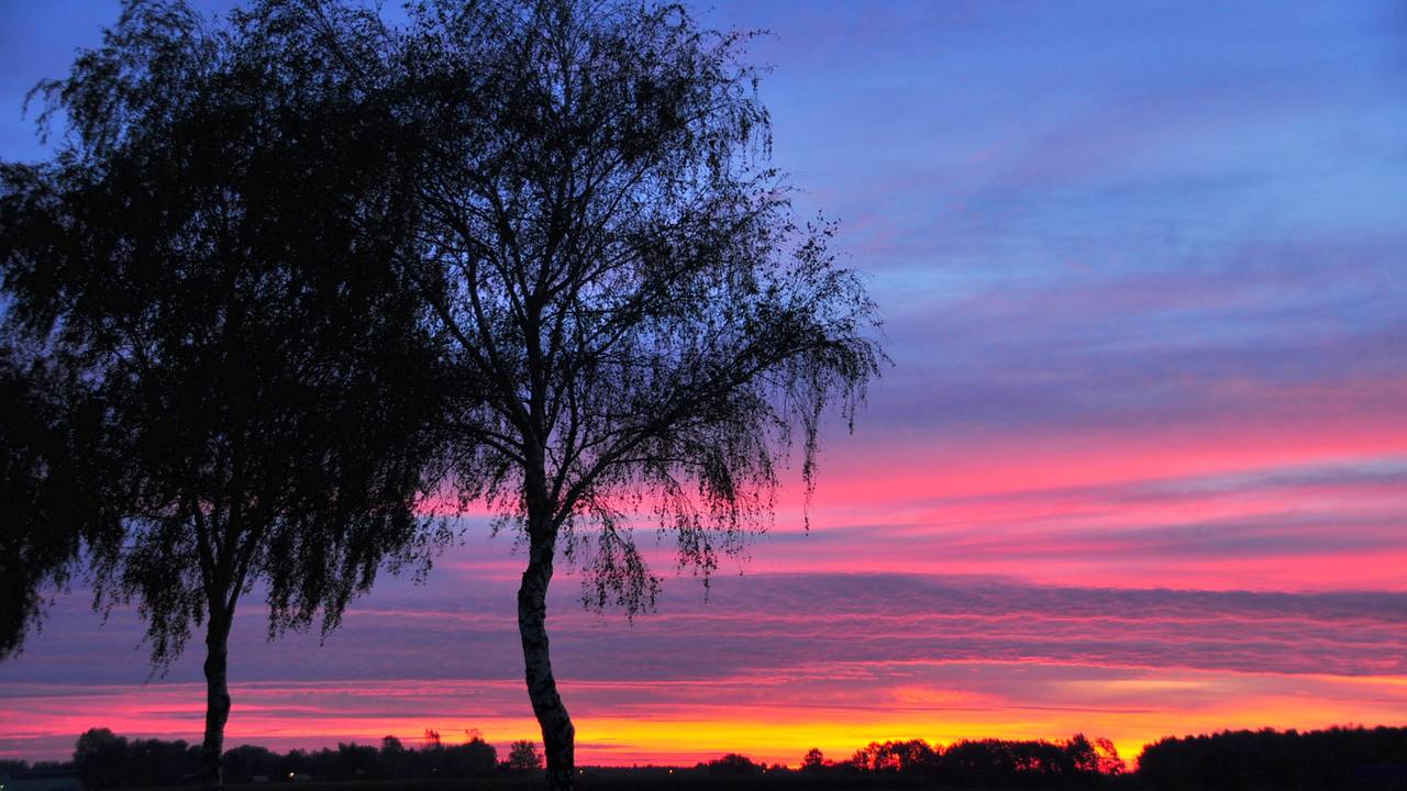 Het laatste zomerse weekend: zonnig en kleurrijk!