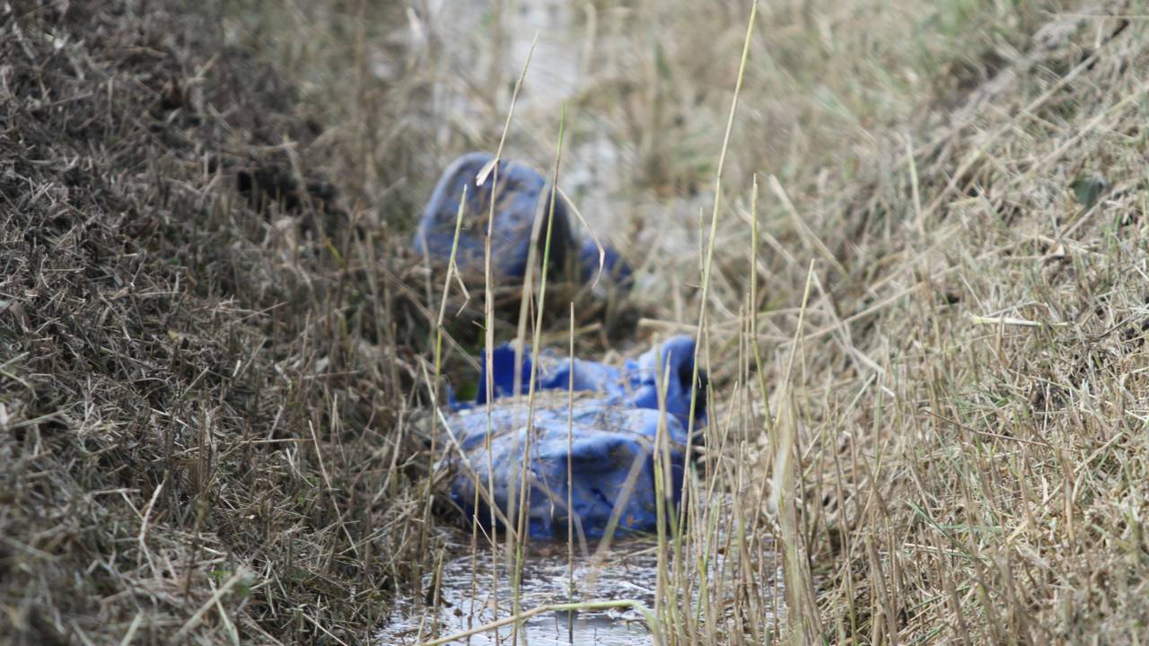 Foto: Alexander Vingerhoeds/Obscura Foto