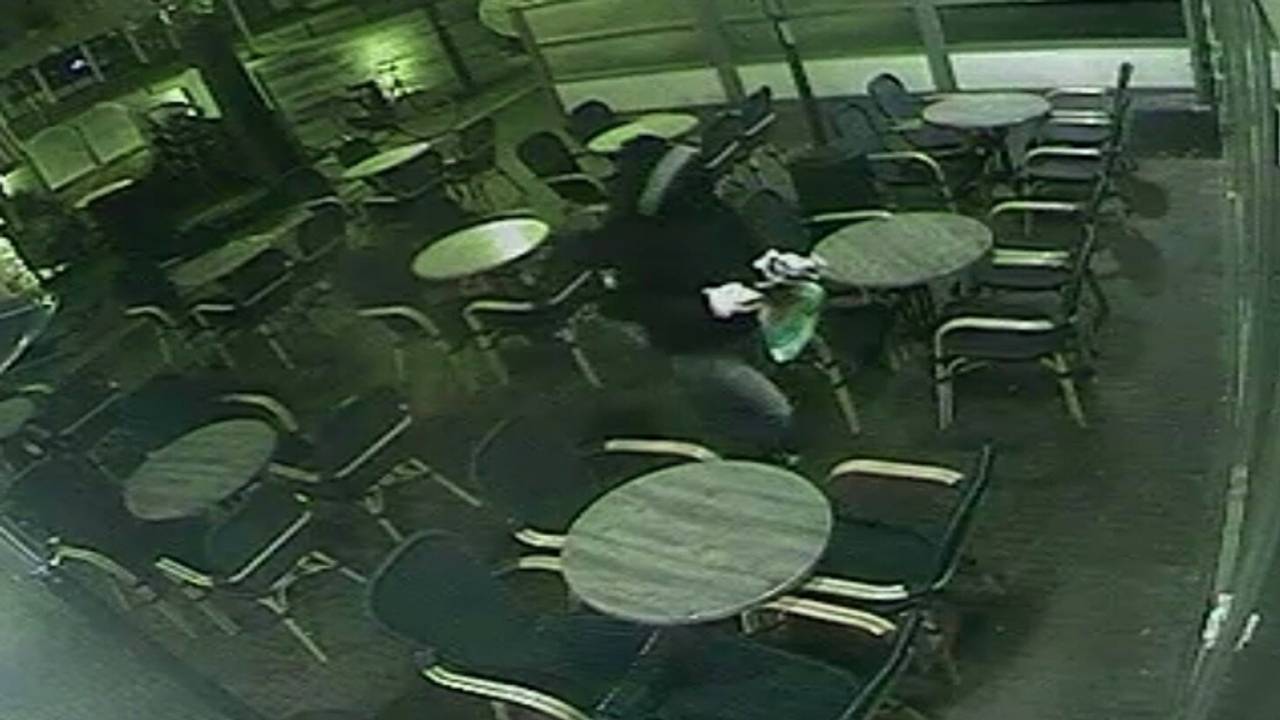 De vermeende dader op camerabeelden (foto: Hart van Veghel / Facebook)