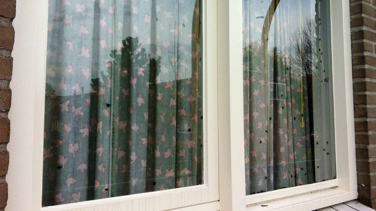 buren van dood gevonden man in den bosch hij had met niemand contact omroep brabant