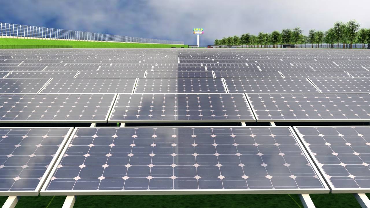 Een impressie van de zonneweide in Breda