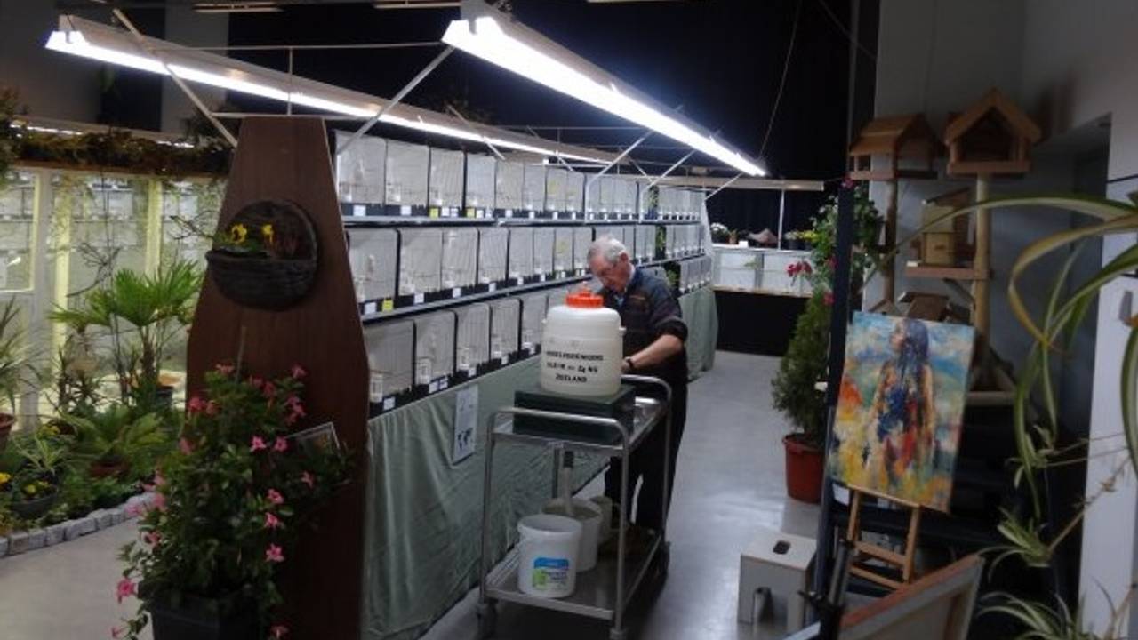 Archieffoto Vogelvereniging Kleur en Zang