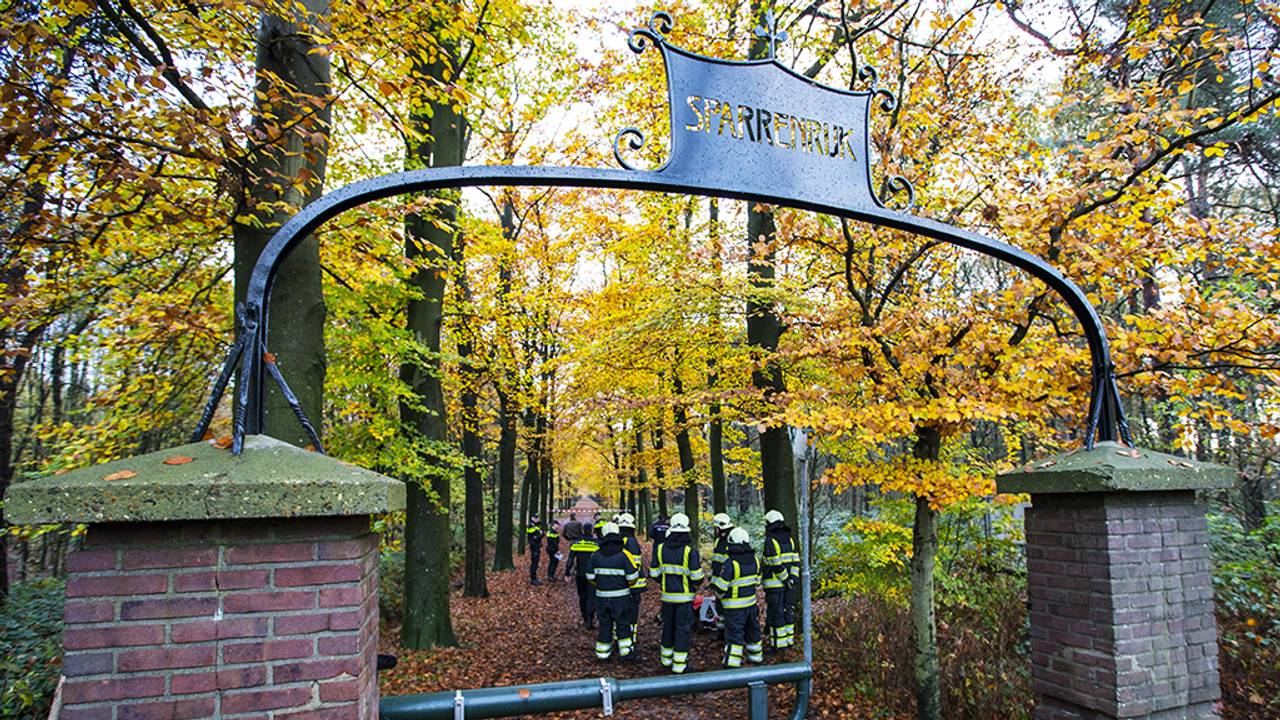 Het bos waar het lichaam van Rachid Dardari werd gevonden (Foto: Sander van Gils / SQ Vision)