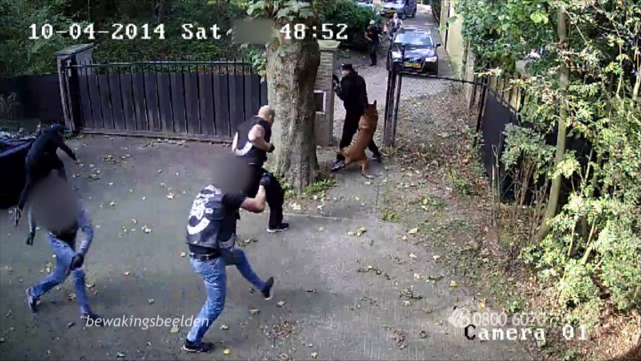 Bewakingsbeelden van de schietpartij aan de Medoclaan