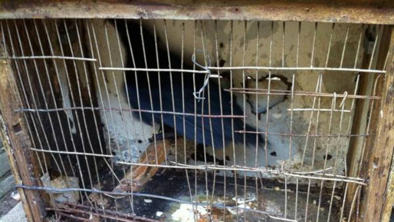 Twitpic: dierenpolitie Oost-Brabant