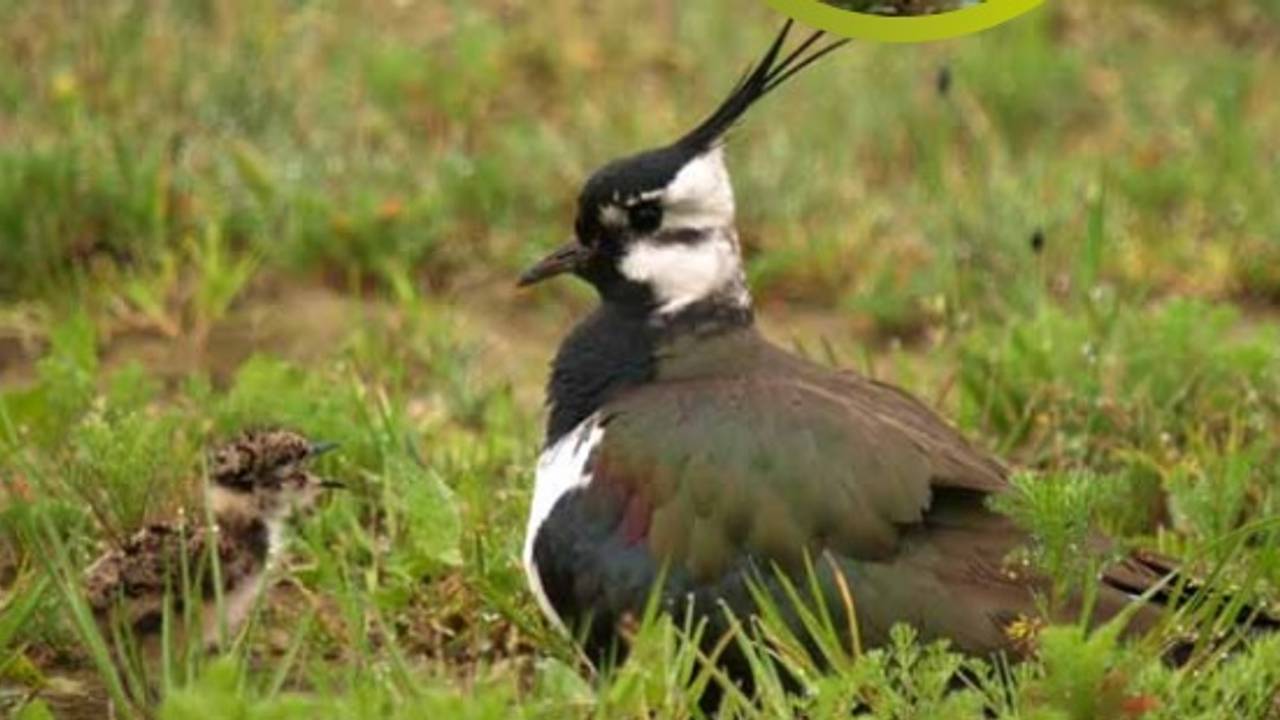 Foto: Stichting Het Brabants Landschap