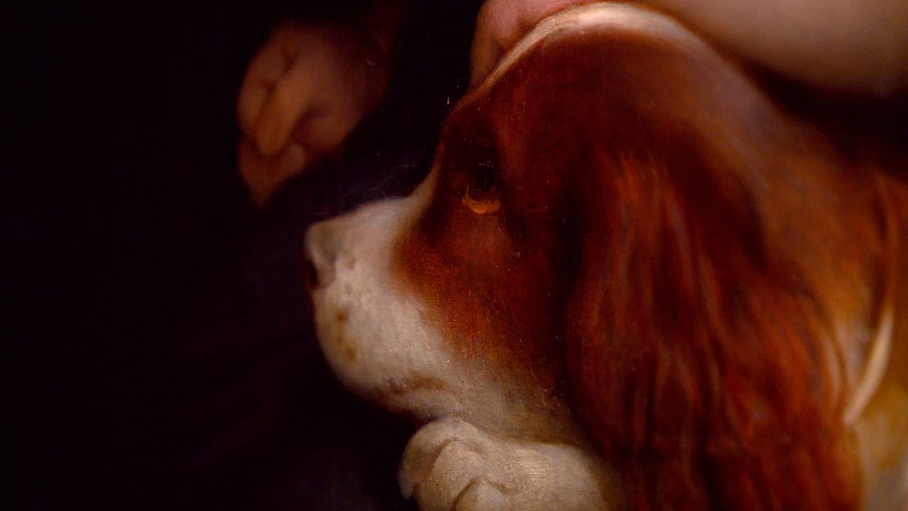 Een hondje op een van de schilderijen