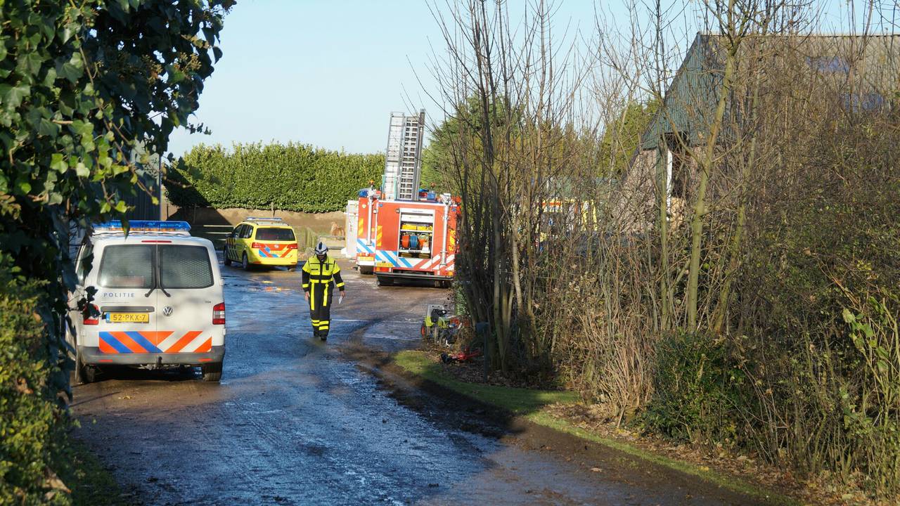 Foto: Anja van Beek / FMPB