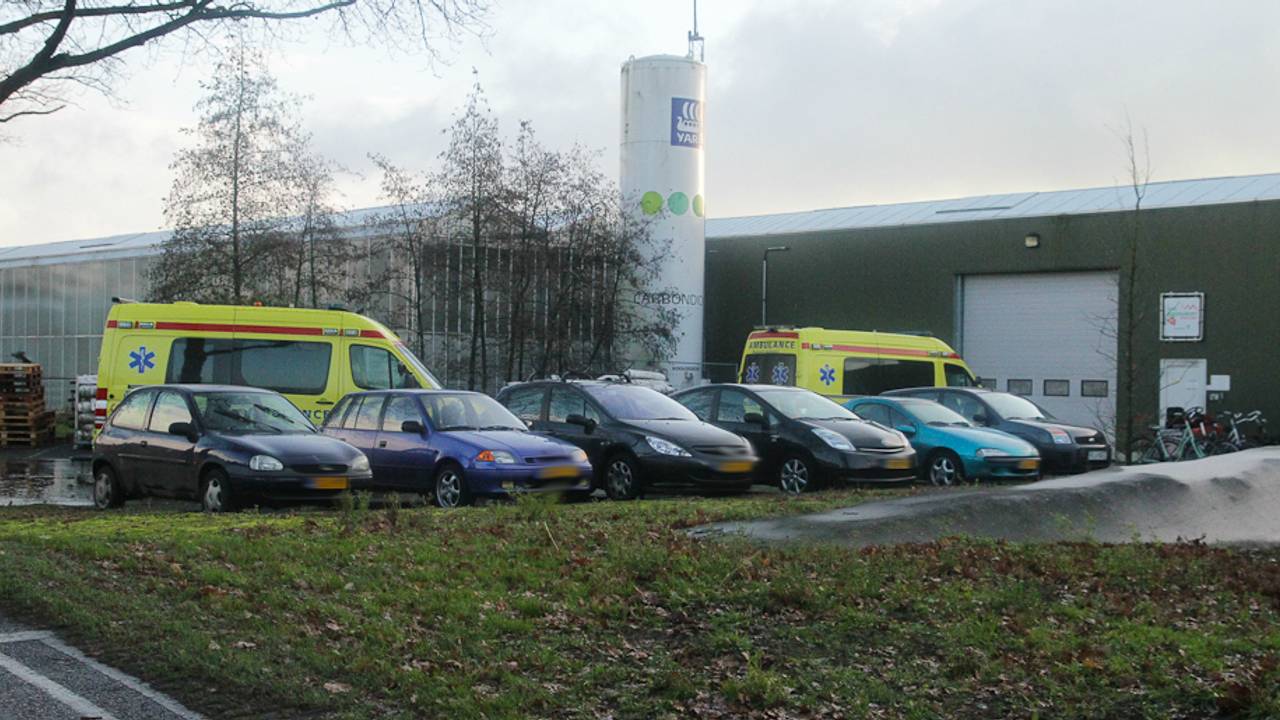 Foto: Harrie Grijseels/SQ Vision