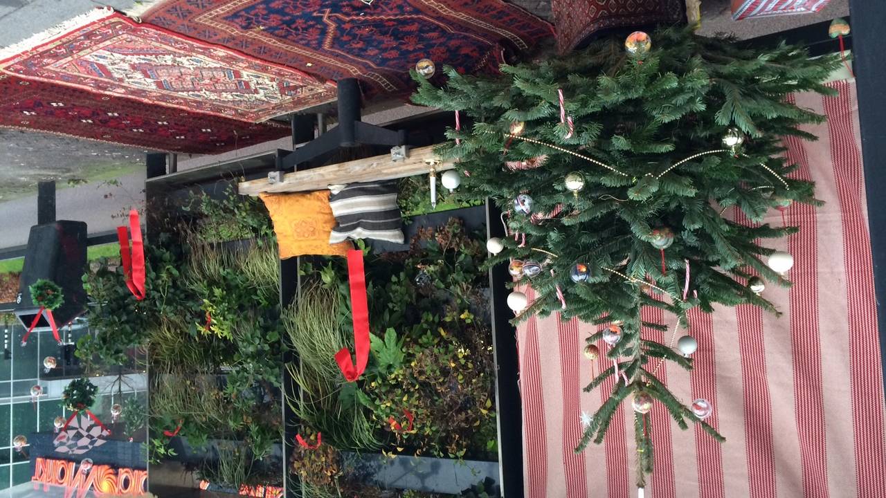 Zalige bushokjes in de Eindhovense binnenstad