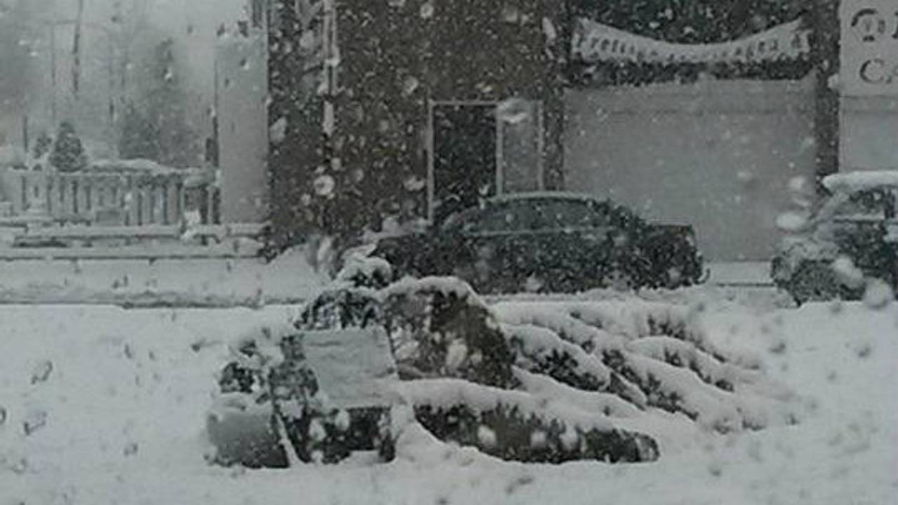 Foto: Hart van Aalburg/Facebook