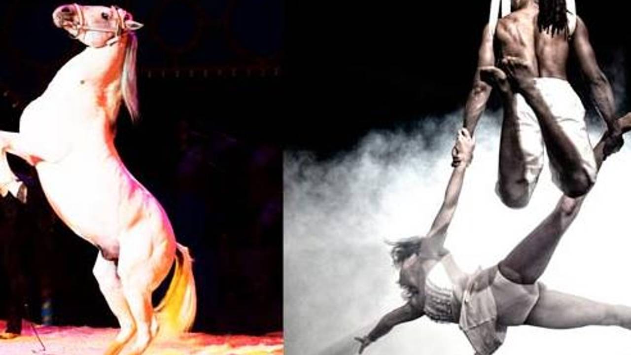 Wintercircus Martin Hanson