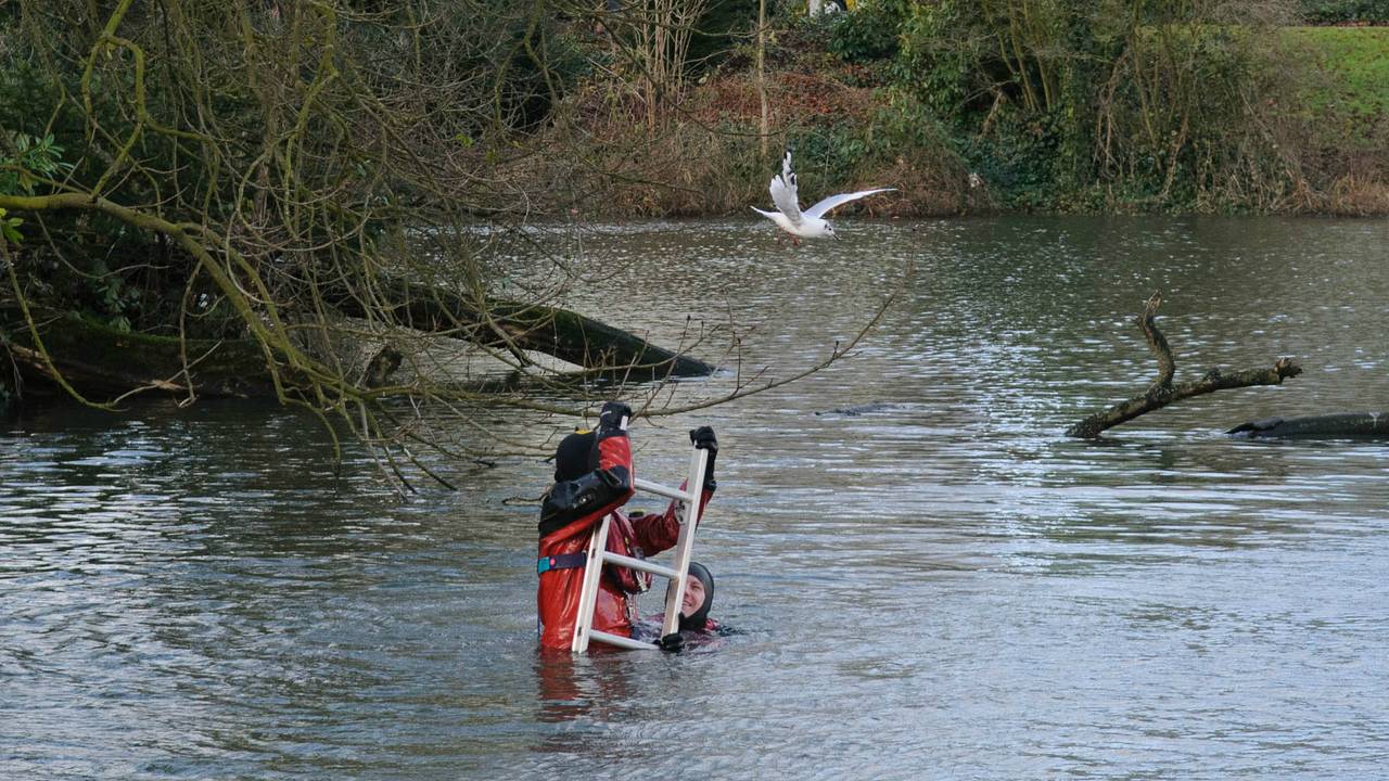 Brandweer probeert de meeuw te redden (foto: Tom van der Put/SQ Vision)