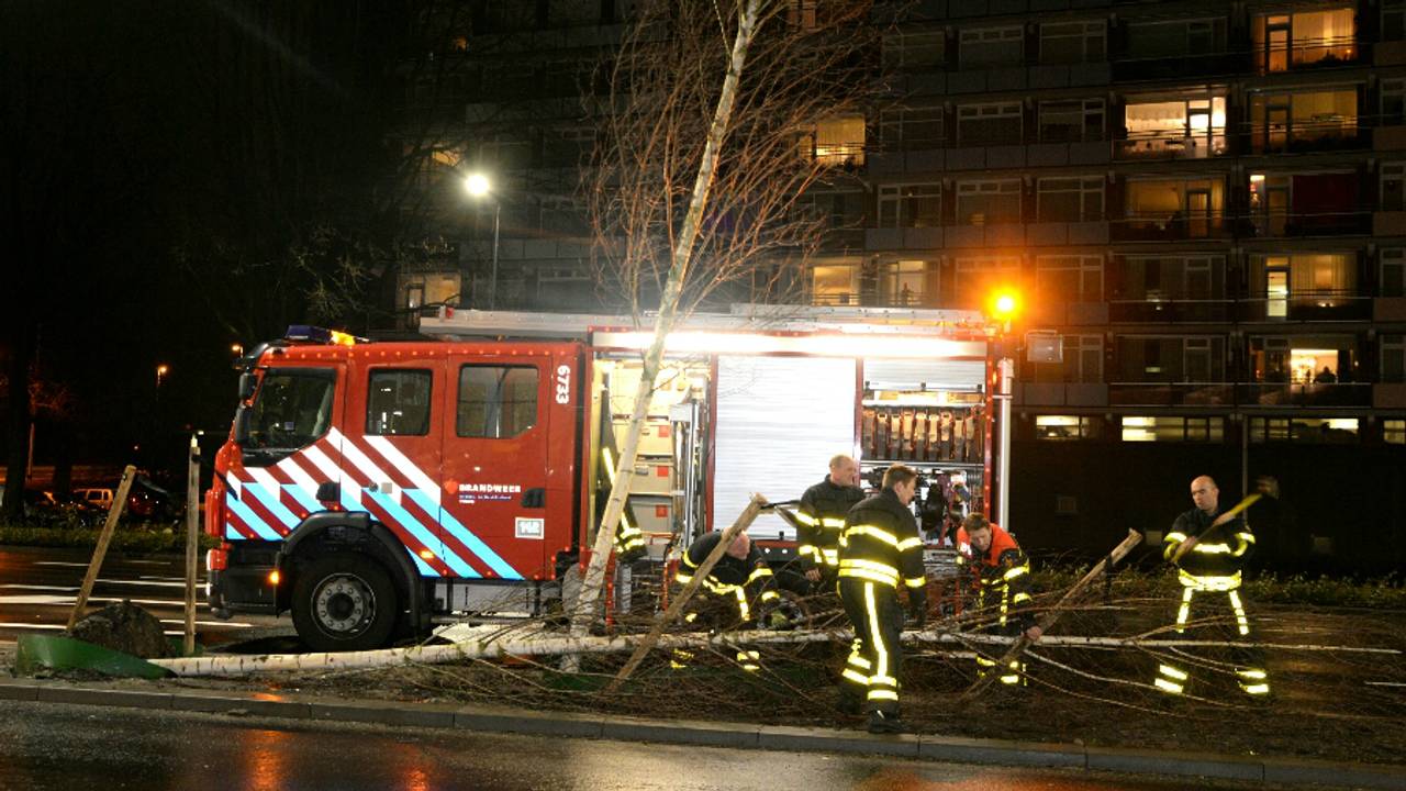 Foto: Toby de Kort (De Kort Media)