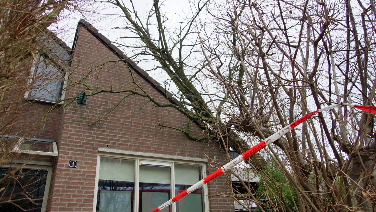 Ga naar slide 3