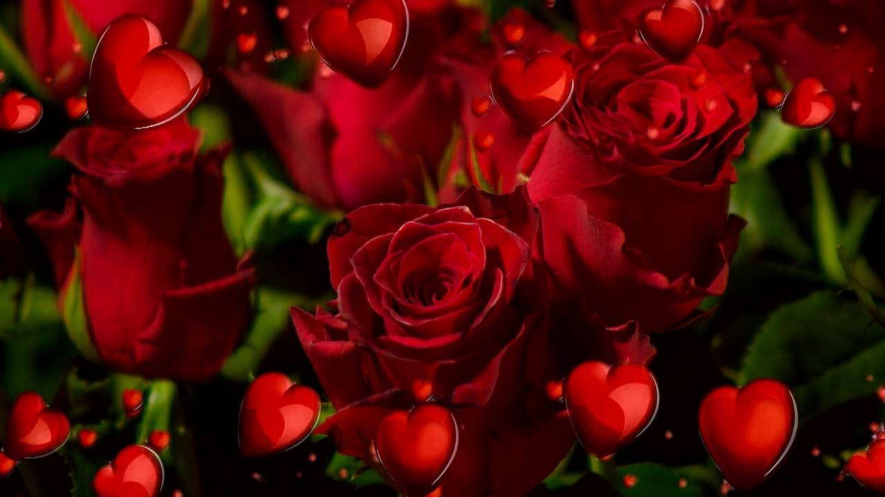 De politie in Breda deel zaterdag rozen uit aan vrouwen die hun spullen goed bewaken